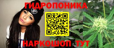 СК Мариинск