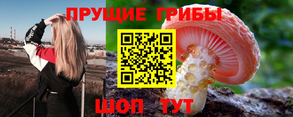 Псилоцибиновые грибы GOLDEN TEACHER Дзержинский