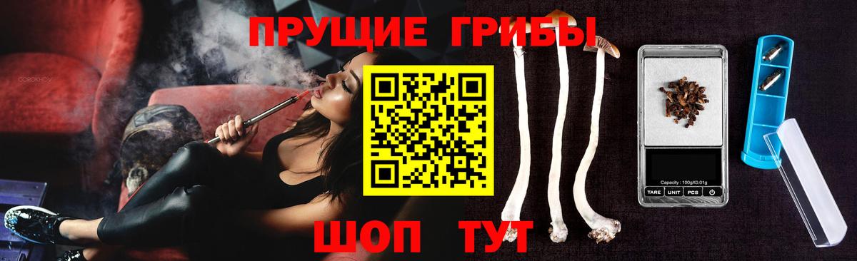 Дзержинский  Псилоцибиновые грибы Psilocybine cubensis  что такое   Вход с VPN 